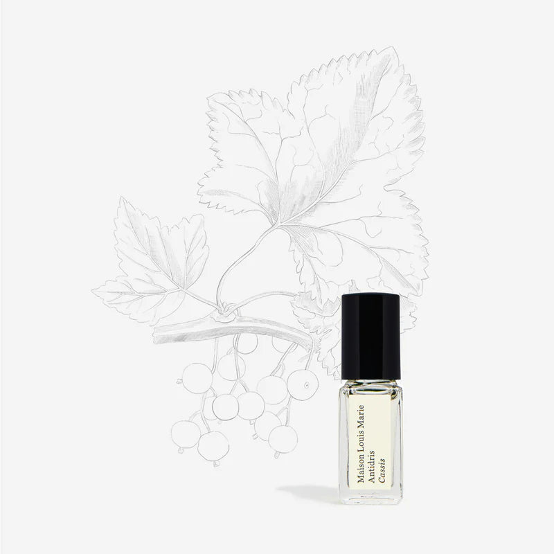 Antidris Cassis 3ml